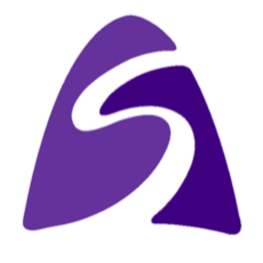 sNails Nails logo